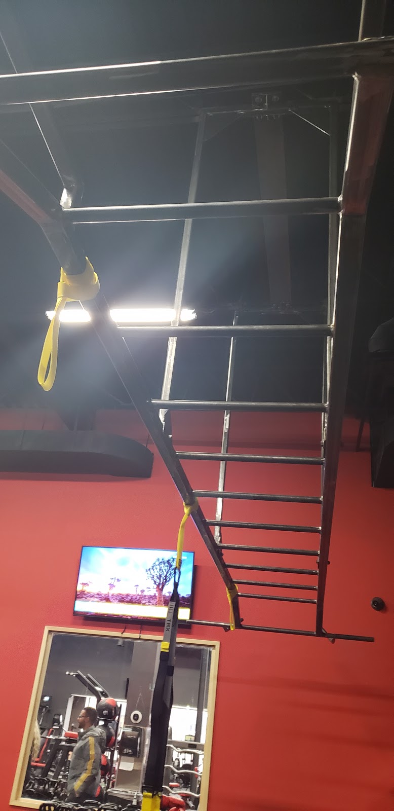 Vive Fitness 24/7 Fairview Burlington | 4460 Fairview St, Burlington, ON L7L 5P9, Canada | Phone: (647) 627-8483