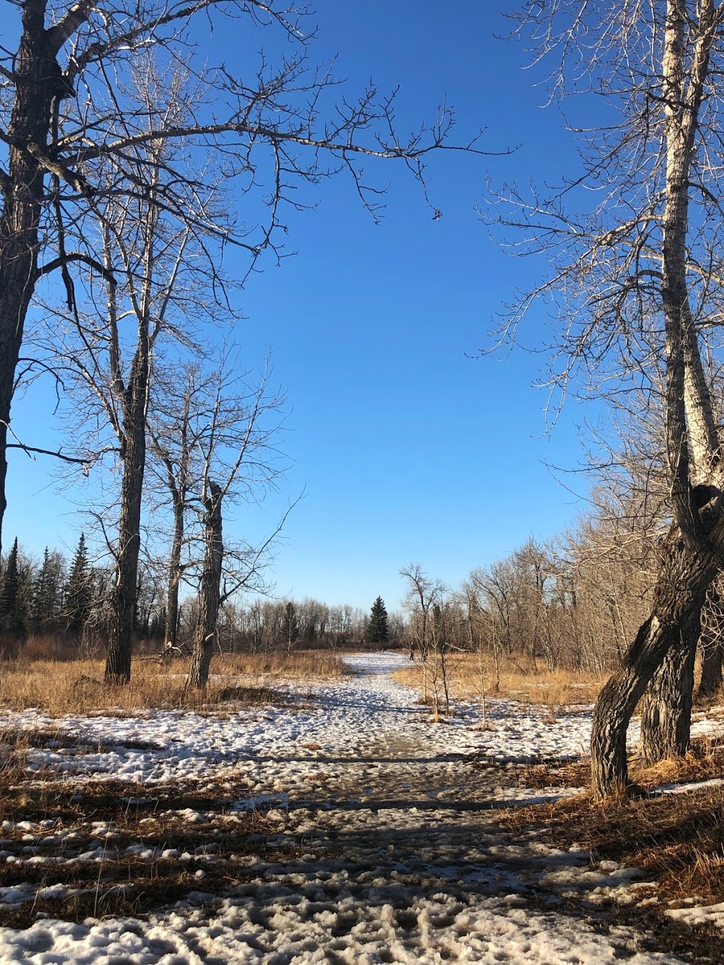 Black Diamond Offleash Park | 218 2 St NW, Black Diamond, AB T0L 0H0, Canada | Phone: (587) 888-3925