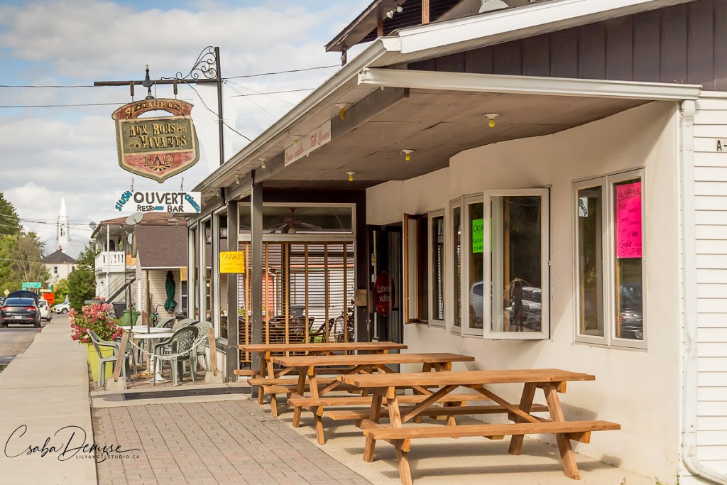 Bar Aux Bons Vivants | 154 Rue Principale, Huberdeau, QC J0T 1G0, Canada | Phone: (819) 687-9103