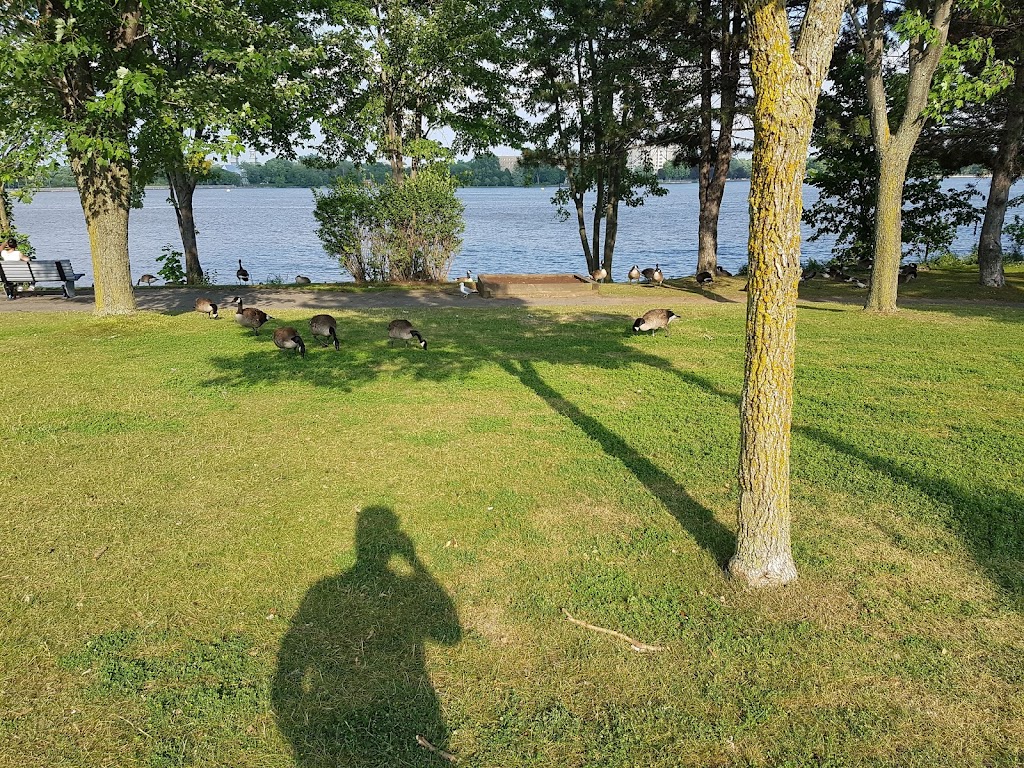 Marina Commodore Ltee | 333 Bd Lévesque E, Laval, QC H7G 1C5, Canada | Phone: (450) 669-3133