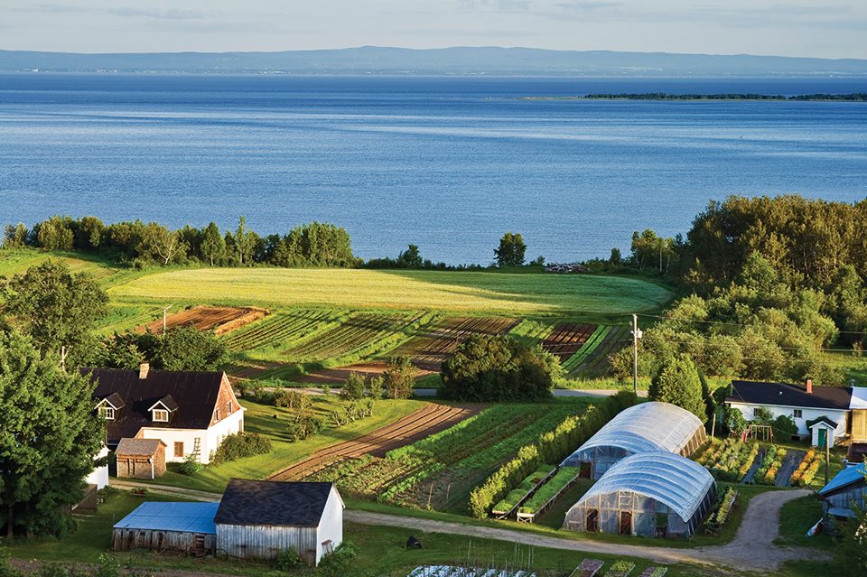 Les Jardins Des Chefs - Piment Gorria | 53 Rang des Éboulements Centre, Les Éboulements, QC G0A 2M0, Canada | Phone: (418) 635-2778