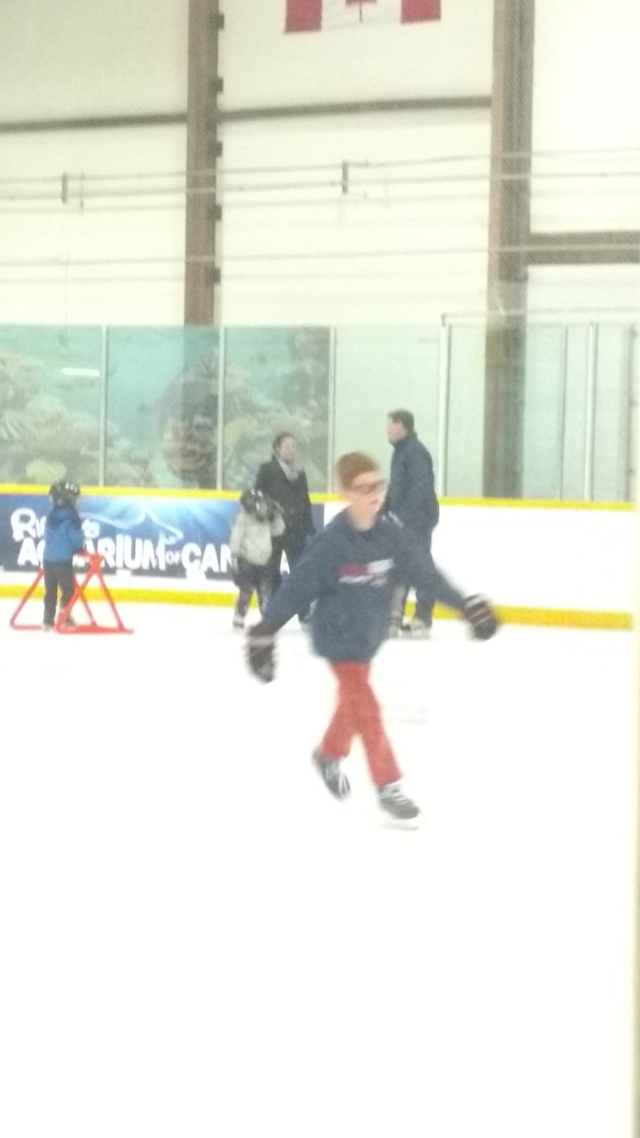 Eastview Arena | 453 Grove St E, Barrie, ON L4M 6H6, Canada | Phone: (705) 739-4220