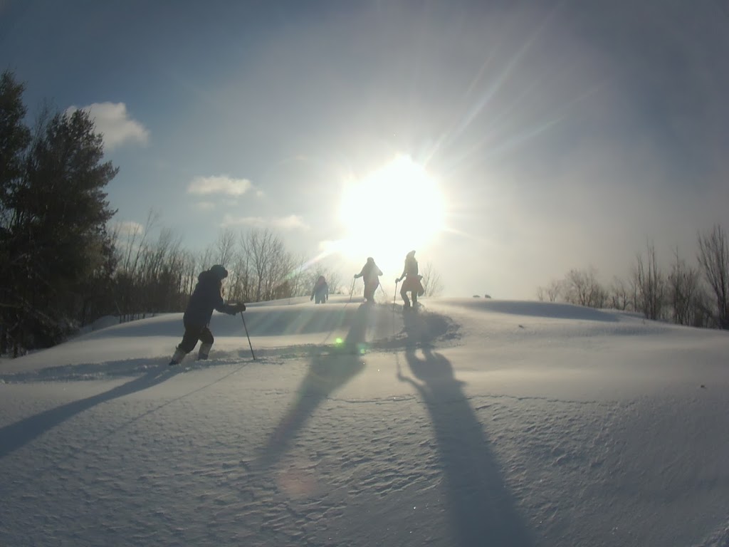 LIV OUTSIDE Bike Park | 112-114 Southbank Dr, Bracebridge, ON P1L 1G3, Canada | Phone: (705) 646-0492