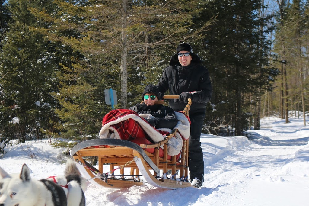 Alaskan Aventure | 77 Chemin de la Montagne, Barkmere, QC J0T 1A0, Canada | Phone: (819) 425-1787