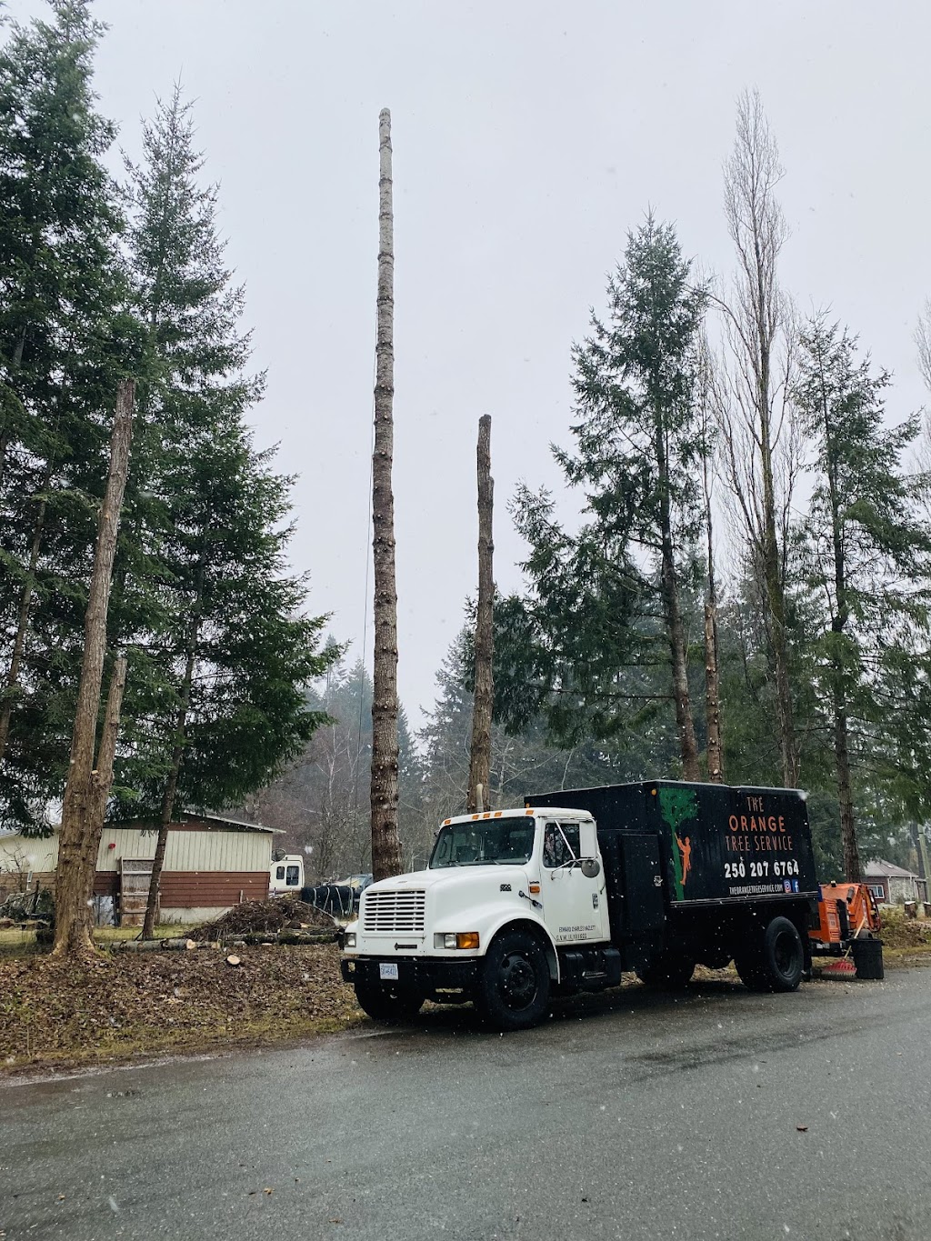 The Orange Tree Service | 1474 Hurford Ave, Courtenay, BC V9N 6X3, Canada | Phone: (250) 207-6764