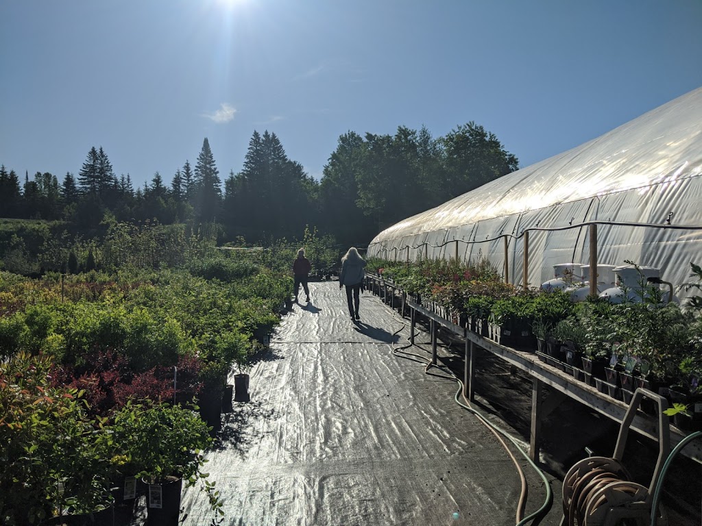 Les Serres de la Vallée (Les Herbes en Folie) | 11083 Route 117 N, Rivière-Rouge, QC J0T 1T0, Canada | Phone: (819) 275-2507