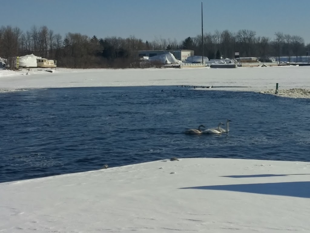 Baxter Ward Community Centre | 25 Community Centre Dr, Port Severn, ON L0K 1S0, Canada | Phone: (705) 538-2702
