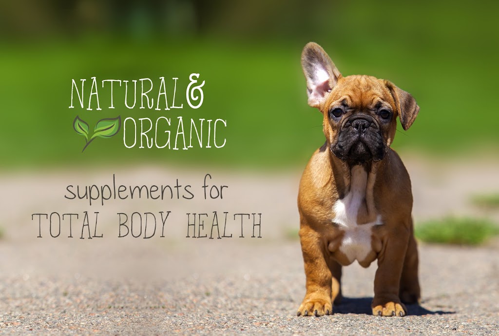 Pet Dental | 2312 Beechgove RD, Caledon, ON L7K 0M1, Canada | Phone: (647) 542-6733