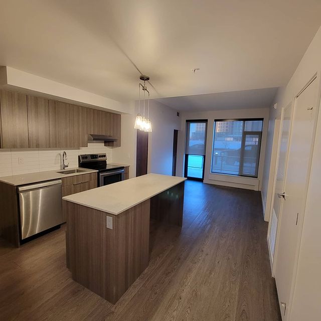 Nevs painting | 166 Seton Grove SE, Calgary, AB T3M 3B6, Canada | Phone: (403) 861-3680