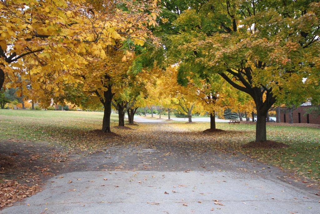Pinecrest Remembrance Services | 2500 Baseline Rd, Ottawa, ON K2C 3H9, Canada | Phone: (613) 829-3600