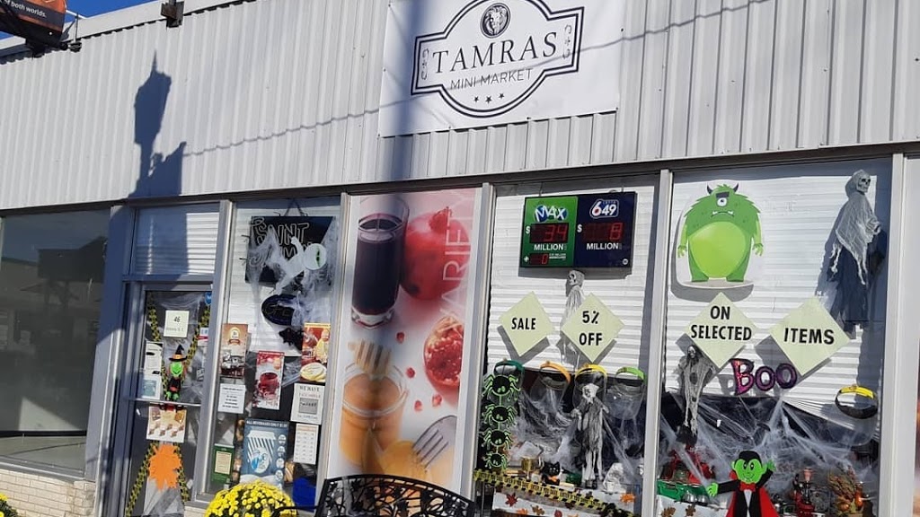 TAMRAS MINI MARKET | 46 Victoria St E, Alliston, ON L9R 1T4, Canada | Phone: (705) 434-0818