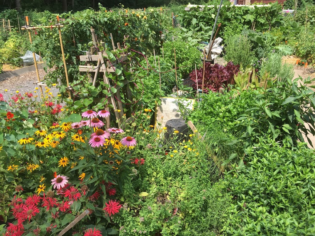 communautaire sault au récollet Garden | 10871 rie du, Montréal, QC H2B 2H3, Canada