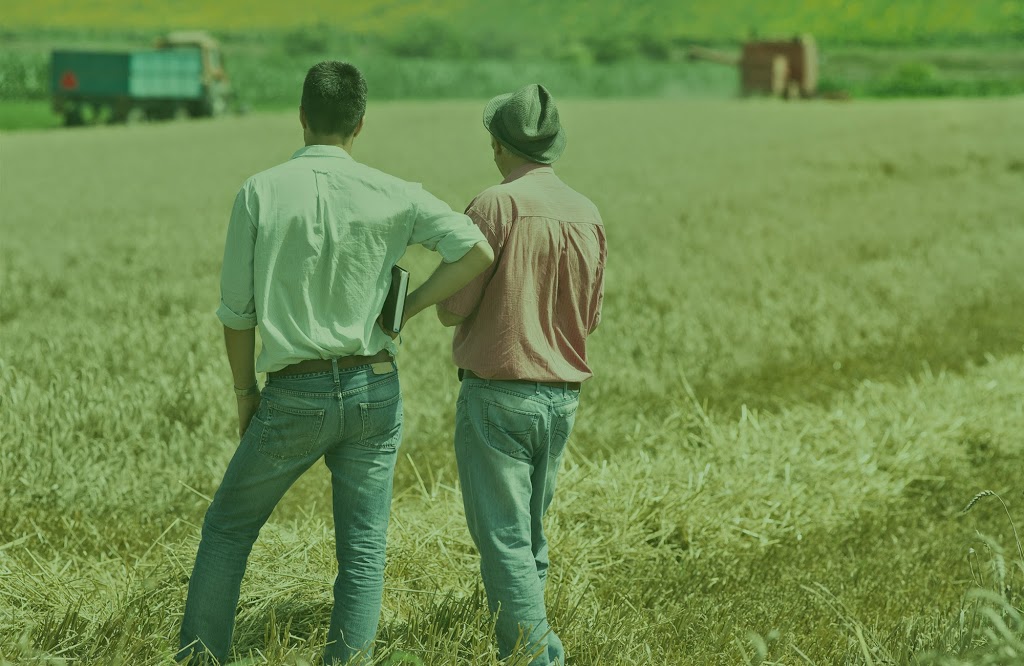 Thomsen-Jung Farms | 575 Haldibrook Rd, Caledonia, ON N3W 1N2, Canada | Phone: (905) 679-3251