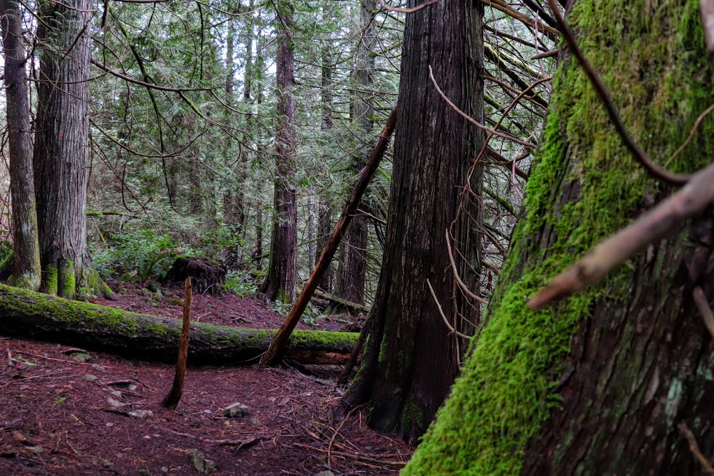 Linley Valley Cottle Lake Park | 3669 Rock City Rd, Nanaimo, BC V9T 1T6, Canada | Phone: (250) 756-5200