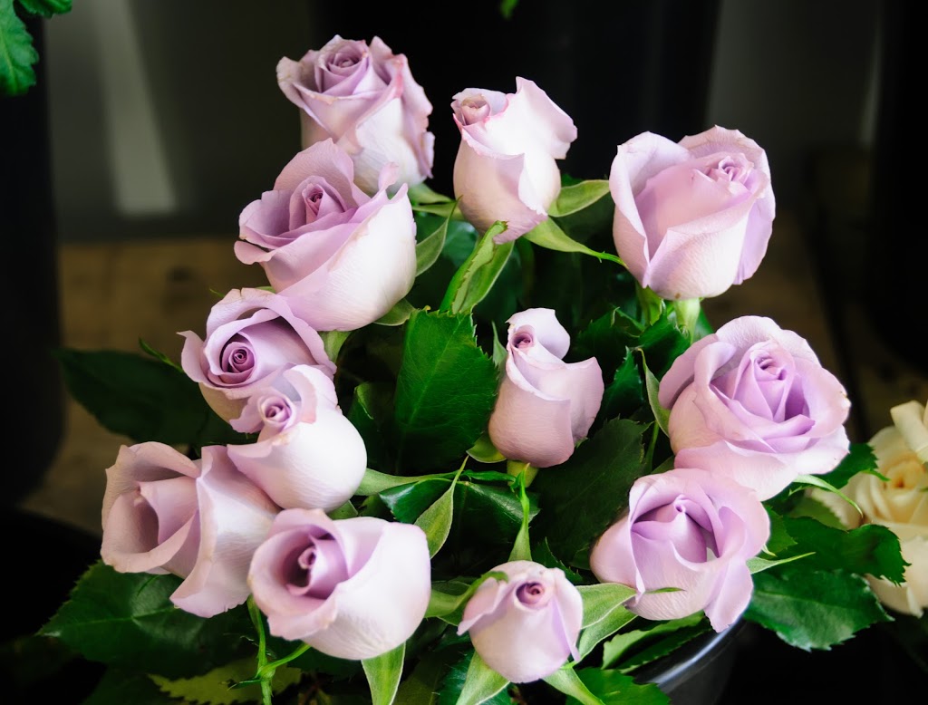 Bronte Flowers & Gifts | 2464 Lakeshore Rd W Unit 5, Oakville, ON L6L 1H8, Canada | Phone: (905) 825-8988
