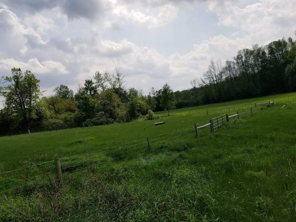 Restoration Ranch / Dragonfly Equestrian | 2020 Safari Rd, Cambridge, ON N1R 5S2, Canada | Phone: (416) 799-5090