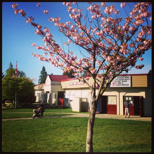 Georges Vanier Elementary School | 6985 142 St, Surrey, BC V3W 5N1, Canada | Phone: (604) 596-1030