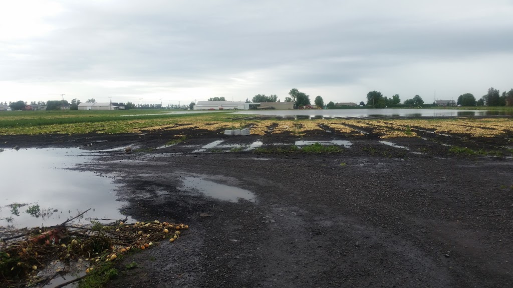 Flora Park Inc | 310 Rang Saint-Paul, Sherrington, QC J0L 2N0, Canada | Phone: (450) 247-2323