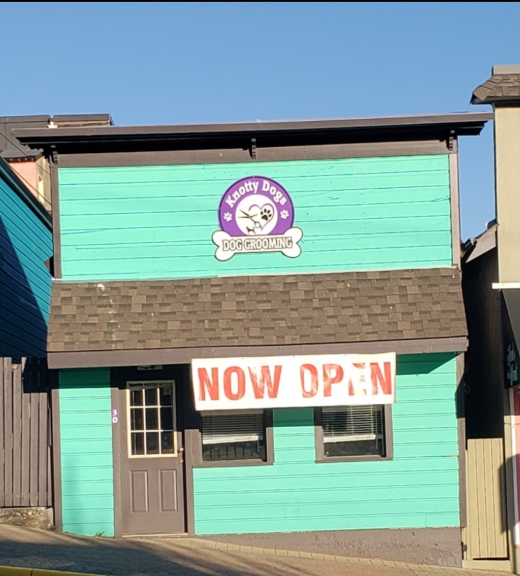 Knotty Dogs Grooming | 30 Roberts St, Ladysmith, BC V9G 1A2, Canada | Phone: (250) 619-0009