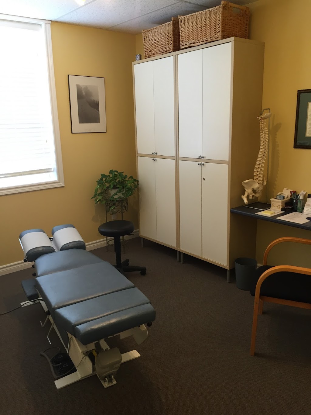 Ganaraska Chiropractic | 73 Ontario St, Port Hope, ON L1A 2T7, Canada | Phone: (905) 885-6938