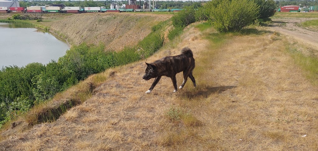 Kiwanis River Park | Moose Jaw, SK S0H 0N0, Canada | Phone: (306) 692-2717
