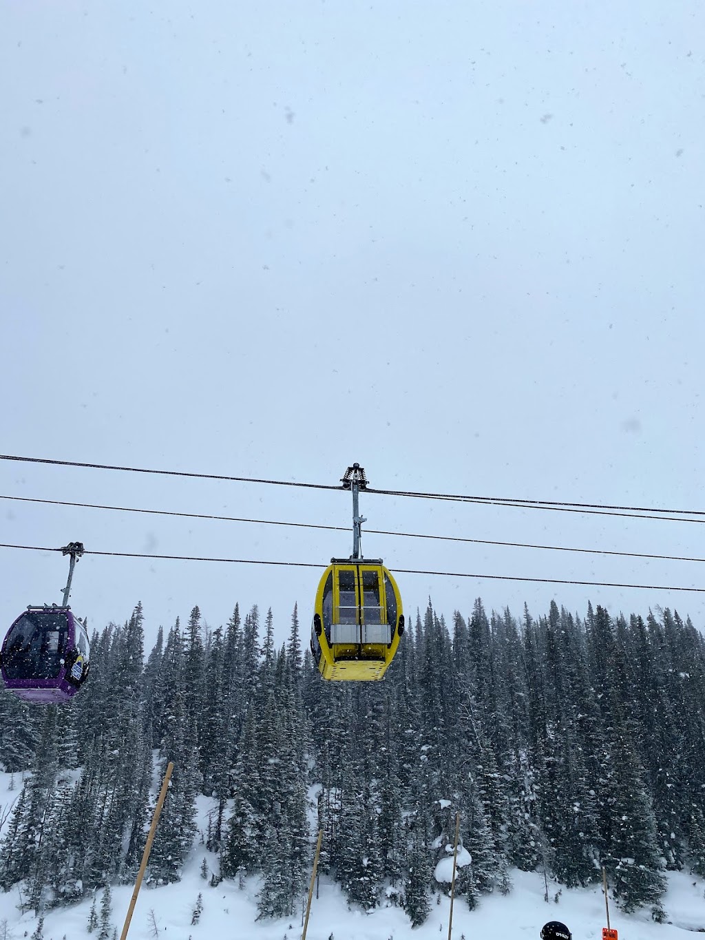 Sunshine Village Ski | 1 Sunshine Access Rd, Improvement District No. 9, AB T1L 1J5, Canada | Phone: (403) 705-4000