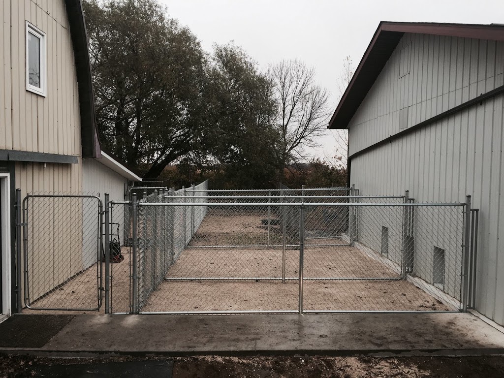 McBarn Kennels | 11135 Rd 25W, Morden, MB R6M 1A3, Canada | Phone: (204) 325-9011