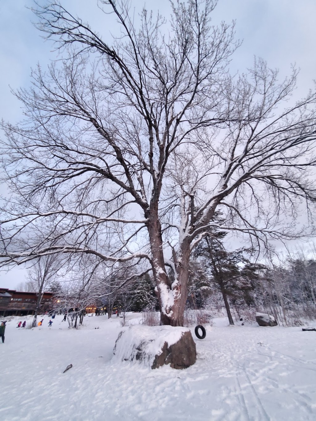 Great Moose Adventures | 1368 Houseys Rapids Rd, Gravenhurst, ON P1P 1R3, Canada | Phone: (705) 687-3903