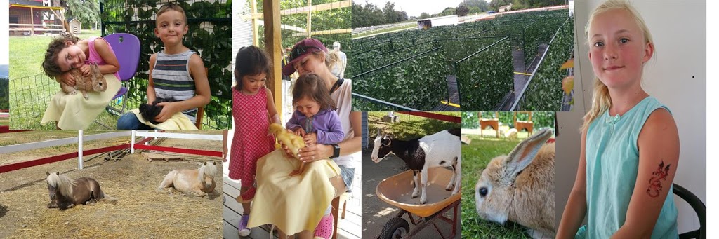 Don-O-Ray Farm Adventure | 3443 Benvoulin Rd, Kelowna, BC V1W 4M5, Canada | Phone: (778) 214-8282