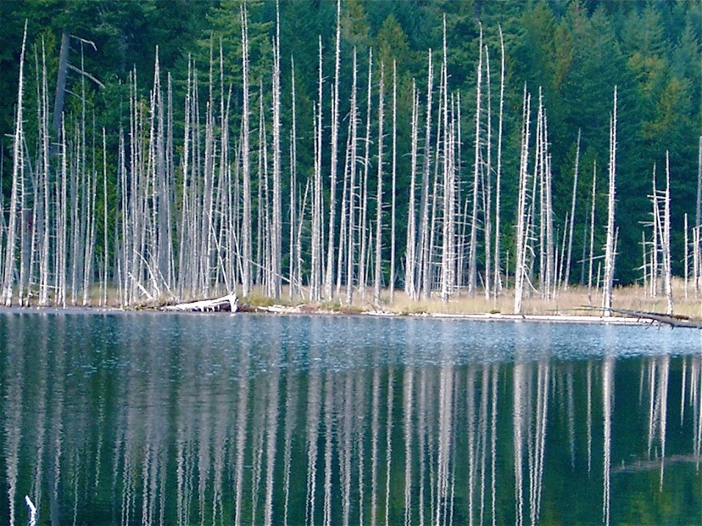 Blue Owl B&B / / Retreat | 8850 Owl Crescent, Denman Island, BC V0R 1T0, Canada | Phone: (250) 335-3440