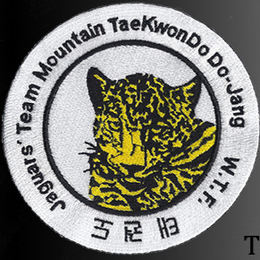 Mountain Taekwondo Do Jang Edmonton | 12930 50 St NW #204, Edmonton, AB T5A 4L2, Canada | Phone: (780) 414-0817