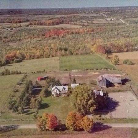 Antioch Hill Equine Retirement | 1955 Concession Rd 7, Sunderland, ON L0C 1H0, Canada | Phone: (705) 357-3050