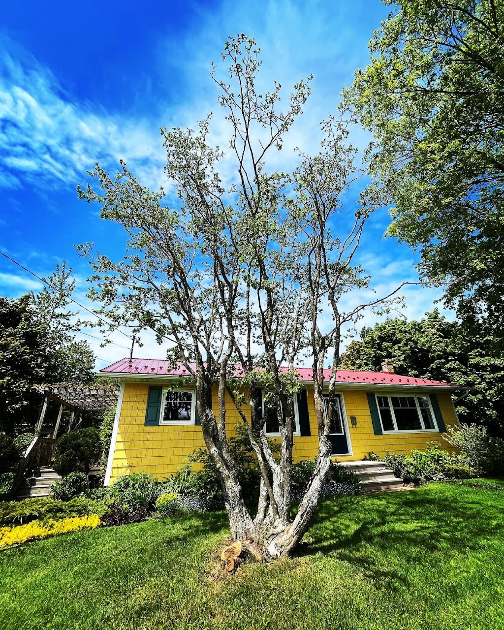 Island Arborist Tree Service | 99 Long Point Rd, North Rustico, PE C0A 1X0, Canada | Phone: (902) 218-4849