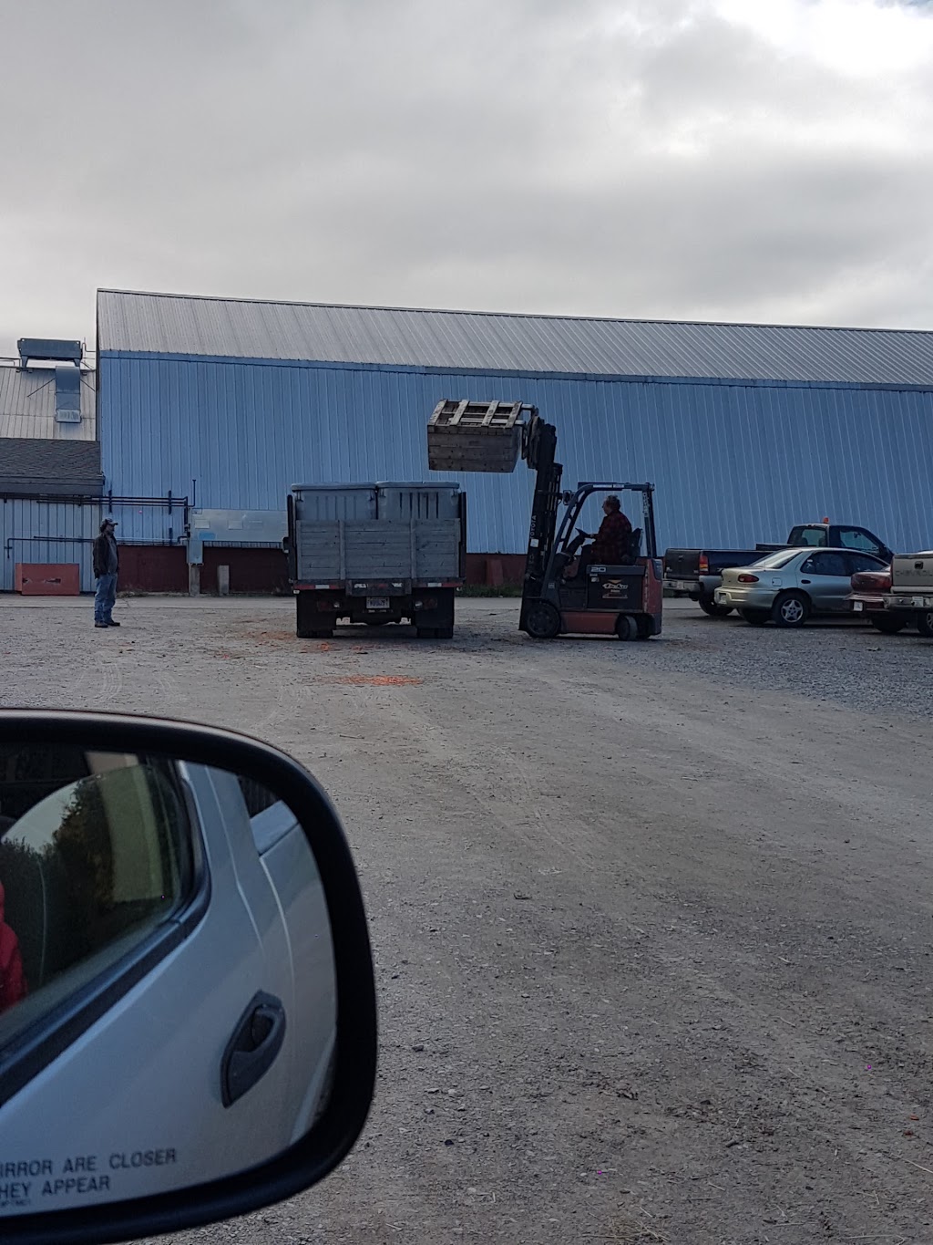 Sawler Gardens Ltd | 178 Pleasant Valley Rd, Berwick, NS B0P 1E0, Canada | Phone: (902) 538-3848