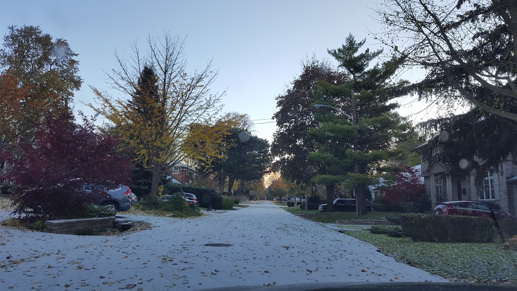 Spring Garden Park | 32 Meadowcrest Rd, Etobicoke, ON M8Z, Canada | Phone: (416) 338-4386