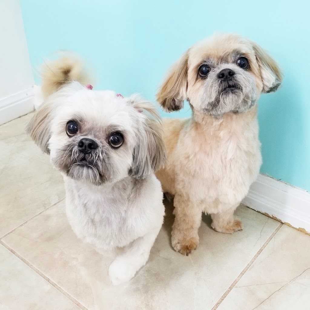 Poochies Paradise Spa | 2713 Bur Oak Ave Unit 2, Markham, ON L6B 1K7, Canada | Phone: (905) 910-1022