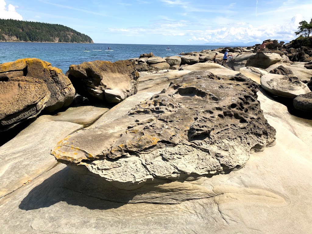 Tribune Bay Campsite | 5200 Shields Rd, Hornby Island, BC V0R 1Z0, Canada | Phone: (250) 335-2359
