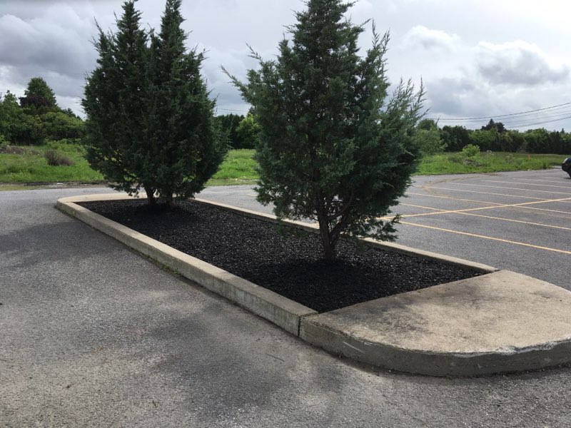 Extermination Allaire - Exterminateur rive sud et entretien pays | 32 Chemin Saint-François-Xavier, Saint-Mathieu, QC J0L 2H0, Canada | Phone: (514) 994-4045