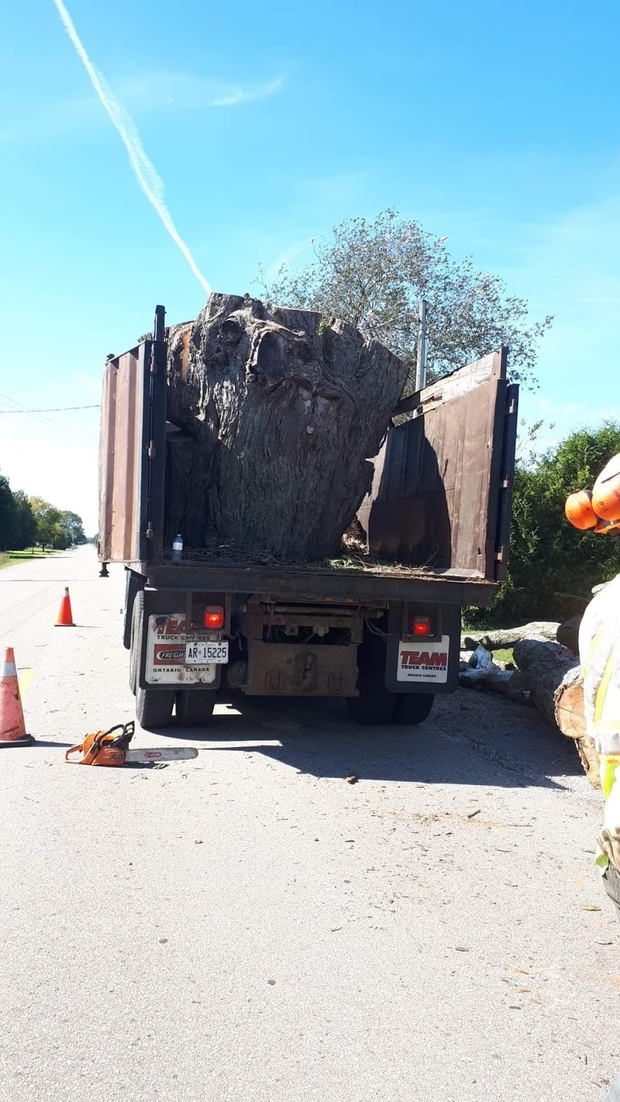 Clean-Up Tree and Stump Removal | 1075 Charlotteville 8 Rd, Simcoe, ON N3Y 4K5, Canada | Phone: (519) 429-3238