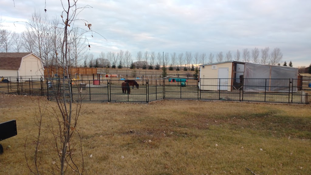 Prairie Berry YYC | 225036 RR 282, AB T1X 0H9, Canada | Phone: (403) 819-4664