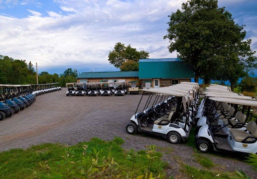 Dragonfly Golf Links At Renfrew | 955 Opeongo Rd, Renfrew, ON K7V 3Z5, Canada | Phone: (613) 432-3838