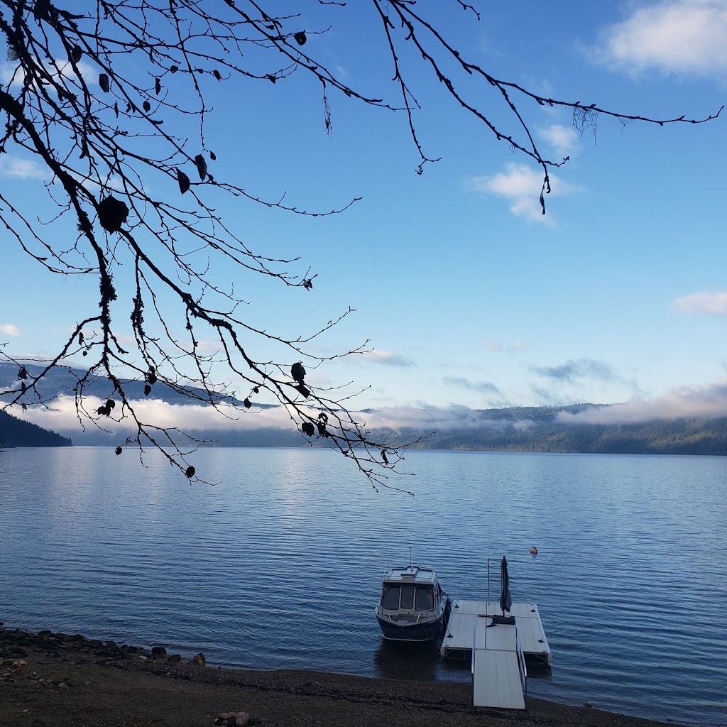 Bigwater Taxi | 113 Weddup St, Sicamous, BC V0E 2V1, Canada | Phone: (250) 804-5328