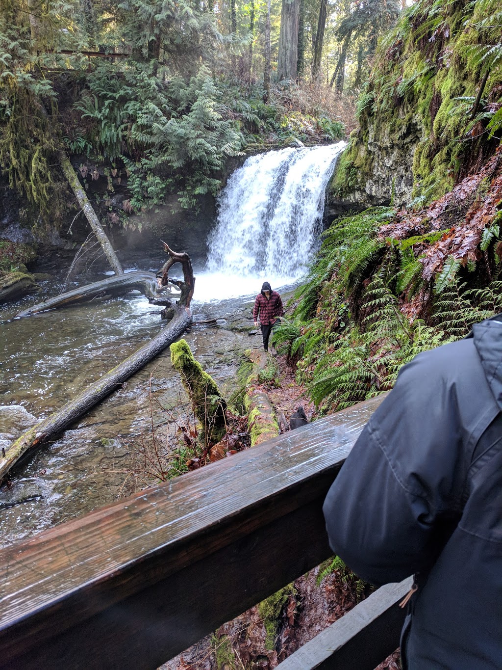 Stocking Creek Park | 2A7, Trans Canada Trail, Ladysmith, BC V9G 2A4, Canada