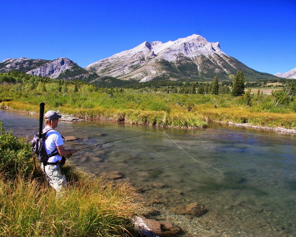 Trout Tracker Fishing & Guide Company | Calgary, AB T3M 0P9, Canada | Phone: (403) 880-3800