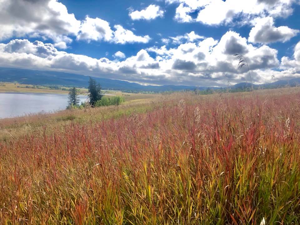 Akashic Ranch | 4032 Campbell Range Rd, Kamloops, BC V2C 6W4, Canada | Phone: (250) 573-1124