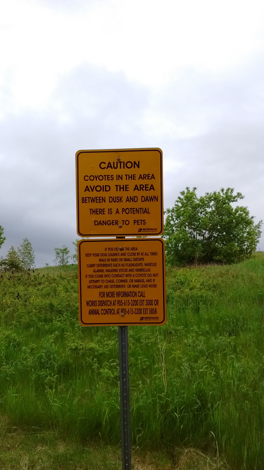 Springbank Meadows Park | 2210 Springbank Rd, Mississauga, ON L5H 3N5, Canada