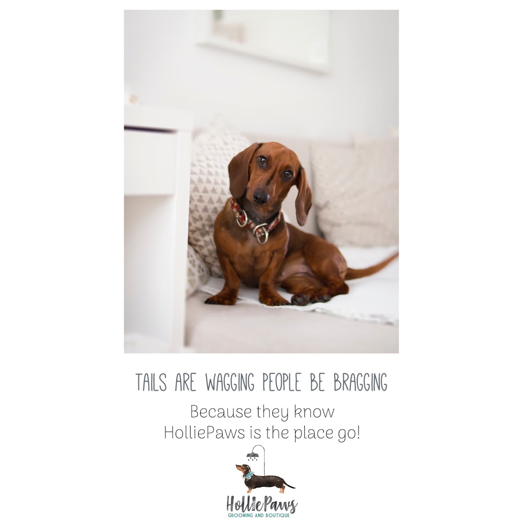 HolliePaws Grooming and Boutique | 4142 Newtonville Rd, Newtonville, ON L0A 1J0, Canada | Phone: (905) 243-6944