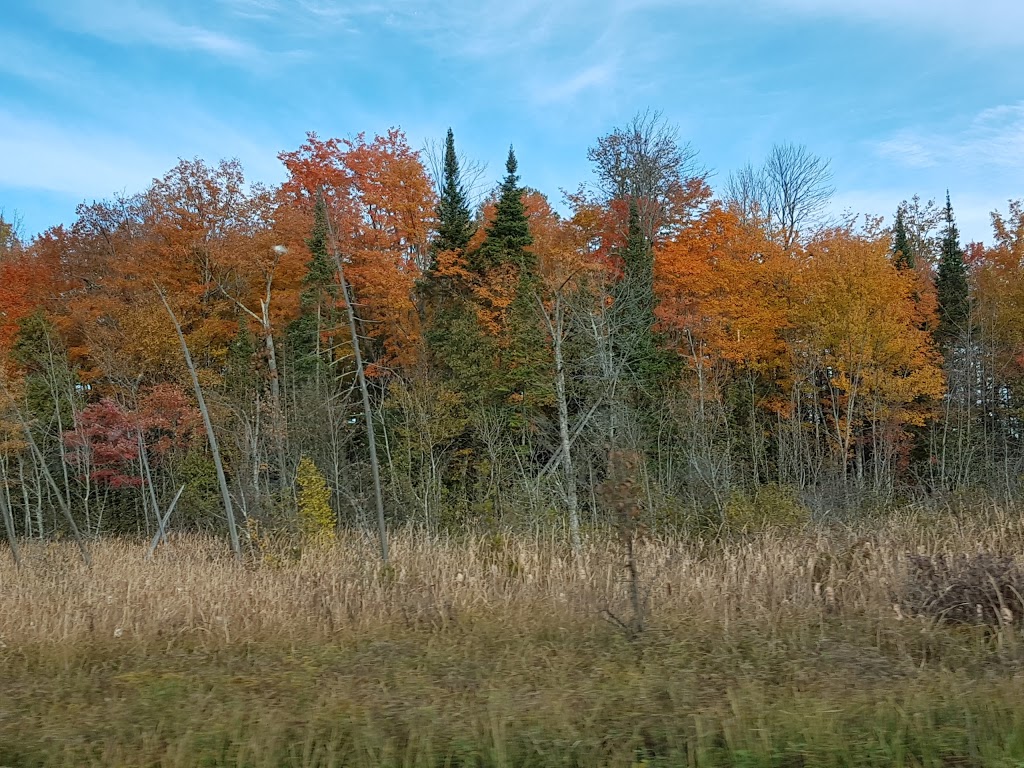 Herns Sand & Gravel | 22358 Highway # 7, Maberly, ON K0H 2B0, Canada | Phone: (613) 268-2059