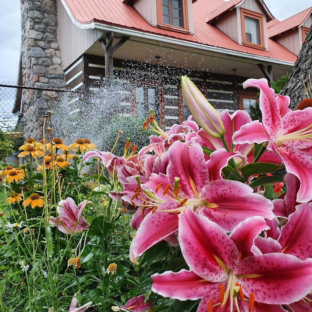 Paul-Séguin Park | Rue Raymond, LaSalle, QC H8P 3K9, Canada | Phone: (514) 367-1000