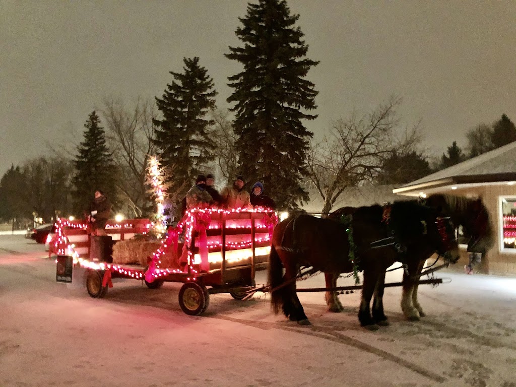 Cloud 9 Equine Therapy | 31061 Ekron Rd 37E, Sarto, MB R0A 0R0, Canada | Phone: (204) 392-6308
